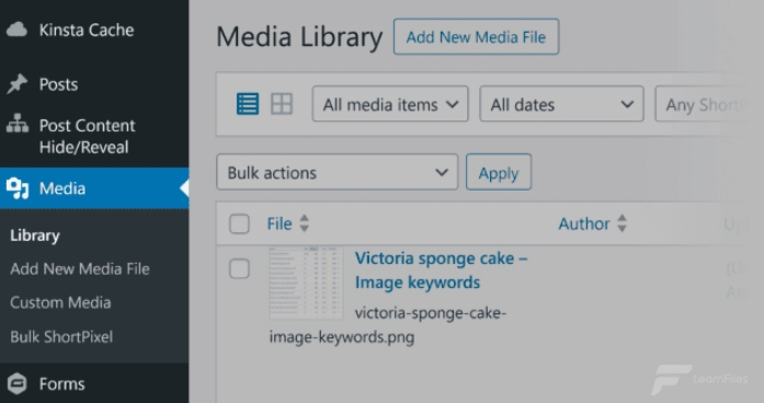 Image-SEO-learn-files13