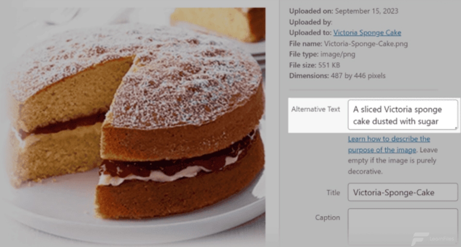 Image-SEO-learn-files14